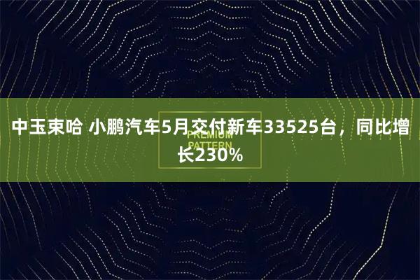 中玉束哈 小鹏汽车5月交付新车33525台，同比增长230%