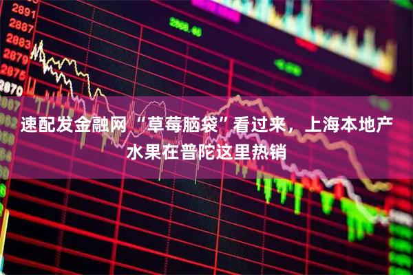 速配发金融网 “草莓脑袋”看过来，上海本地产水果在普陀这里热销