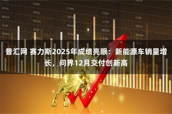 普汇网 赛力斯2025年成绩亮眼：新能源车销量增长，问界12月交付创新高