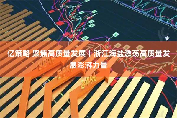 亿策略 聚焦高质量发展丨浙江海盐激荡高质量发展澎湃力量