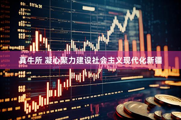 真牛所 凝心聚力建设社会主义现代化新疆