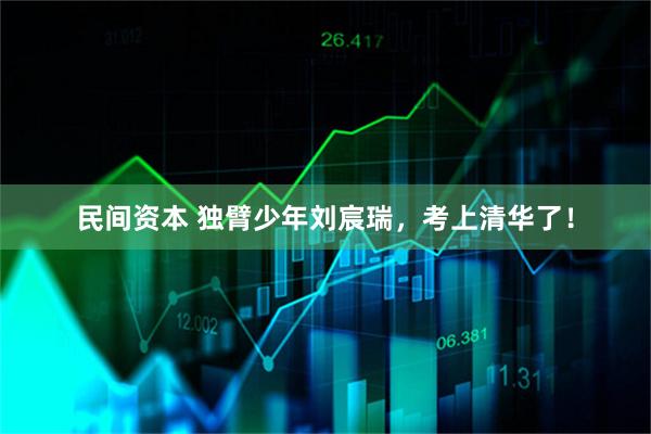 民间资本 独臂少年刘宸瑞，考上清华了！